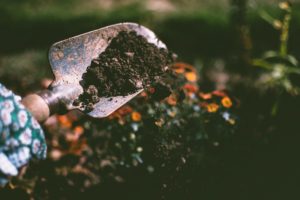 A trowel scoops up loose dirt